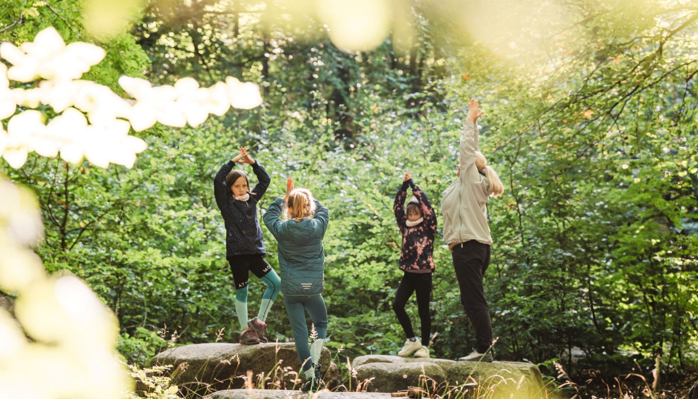 A group of children and an adult practicing yoga in the forest, standing on large stones surrounded by green foliage.