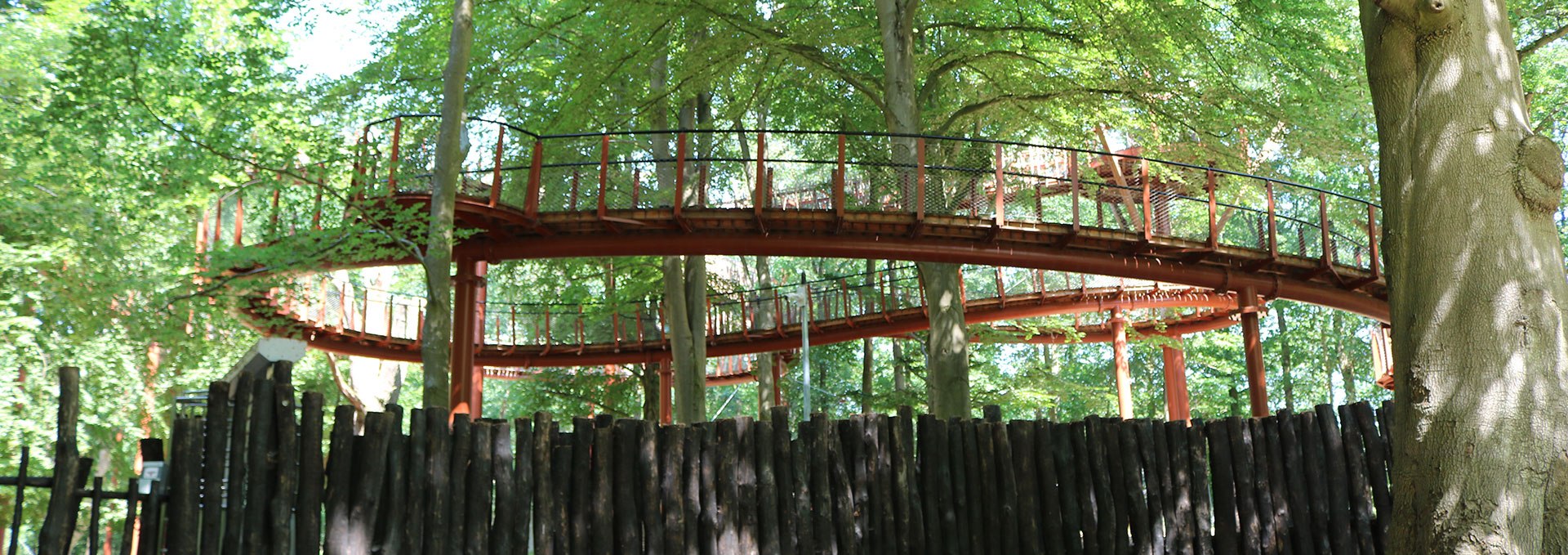 Ivenack - tree top walk, © Silke Voss