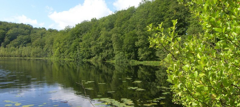 © Biosphärenreservatsamt Südost-Rügen