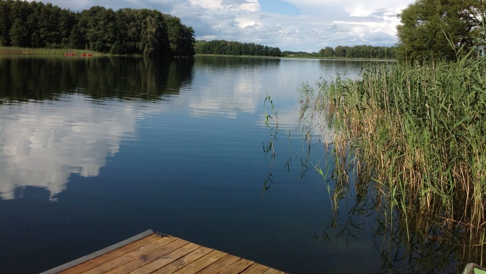 Fishing pier on the reed fringe, © G. Johannes