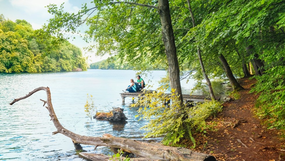 Resting at the Narrow Luzin in the Feldberg Lake District, © TMV/foto@andreas-duerst.de