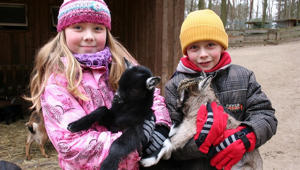 Especially popular with children: the petting zoo and other walk-in enclosures, © Wildpark-MV
