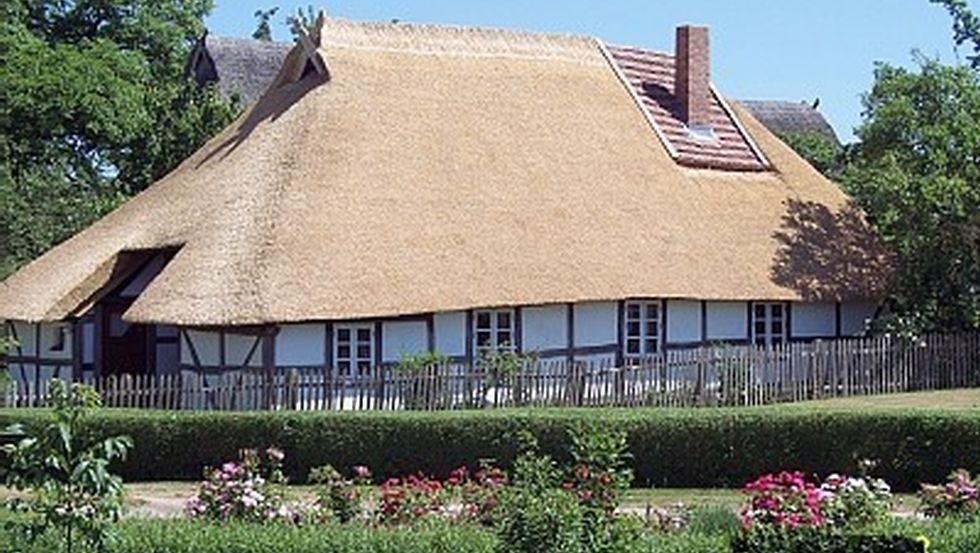 thatched cottage in Klocksdorf in summer, © Ferien in der Reetdachkate/Koop