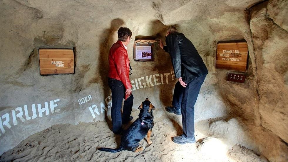 The exhibition station "Bear den" takes a closer look at the hibernation of bears, © BÄRENWALD Müritz/Sabine Vielmo