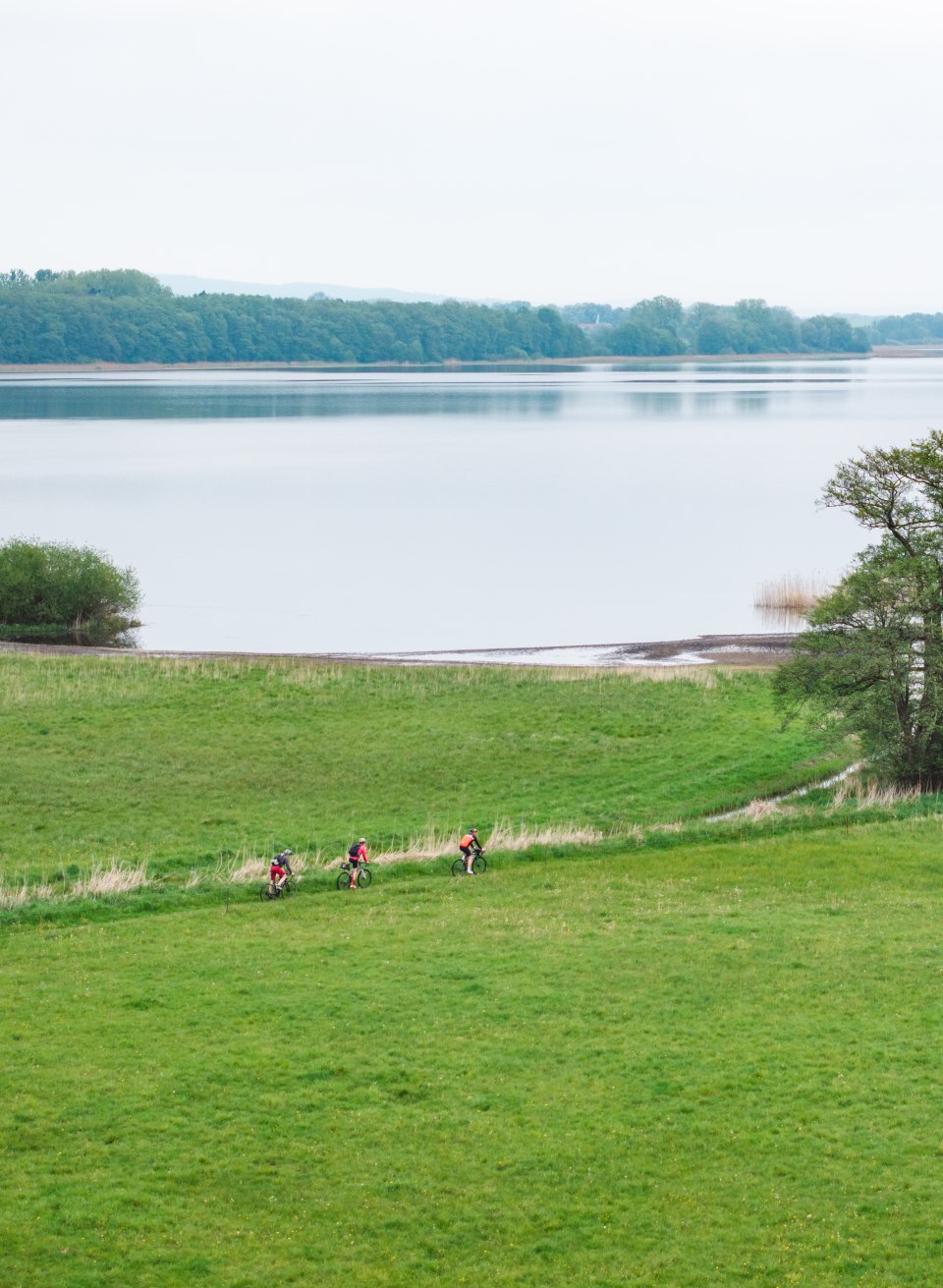 The stilt house on the western shore of Lake Malchin offers the best views for observing nature and birds.