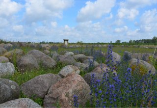 © Bildautor: Kurverwaltung Feldberger Seenlandschaft