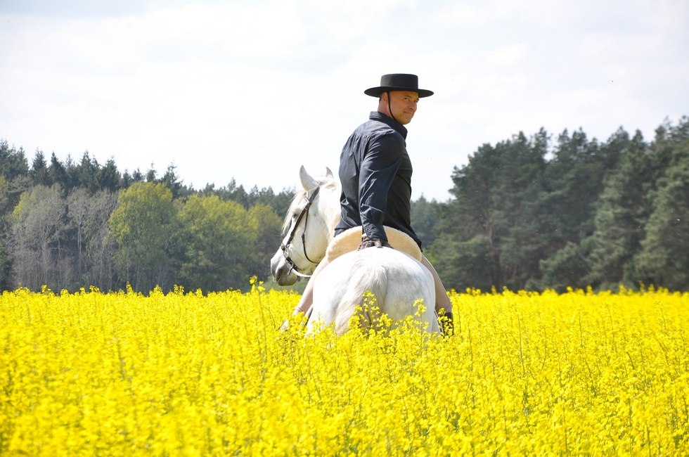 Spanish horses in Mecklenburg landscape, © Antje Kopplow