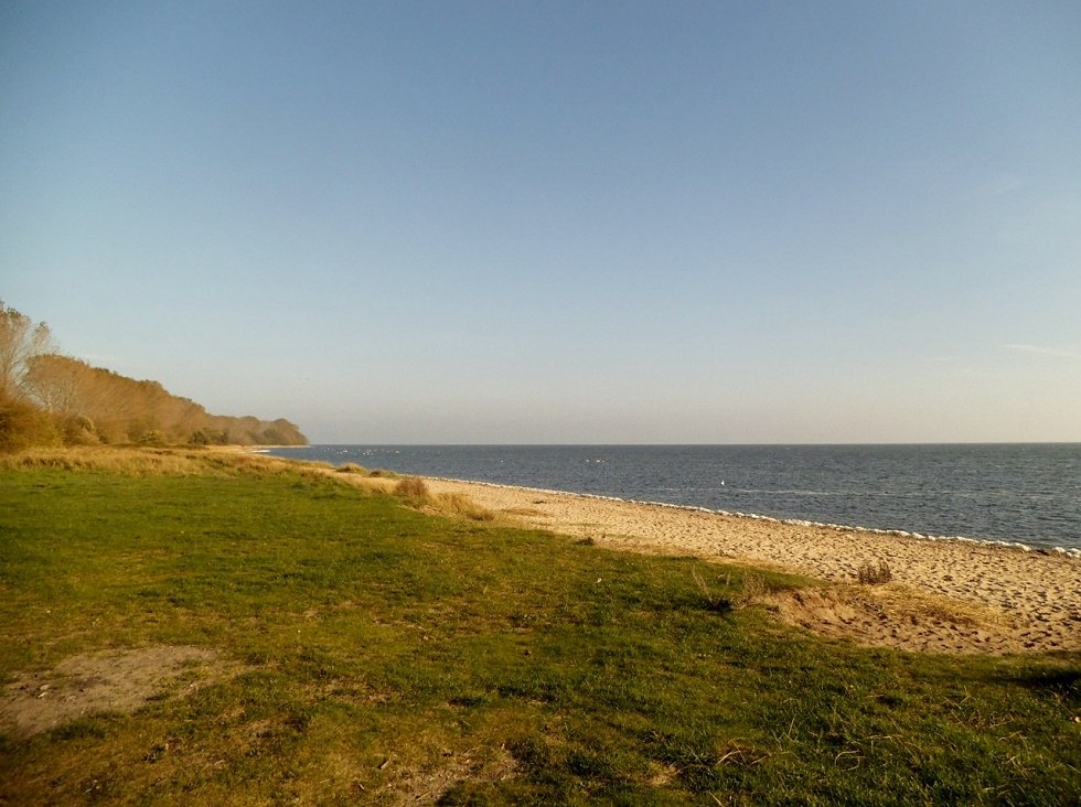 A piece of "Palmer place" on the Zudar Peninsula., © Tourismuszentrale Rügen