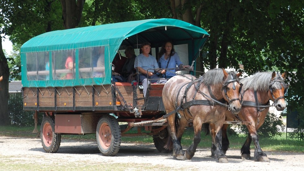 The Trakehnerhof Valluhn also invites you to take a ride in a horse-drawn carriage through the vast landscape of the UNESCO Biosphere Reserve Schaalsee, © Netzwerk "UNESCO-Biosphärenreservat Schaalsee" / Susanne Hoffmeister