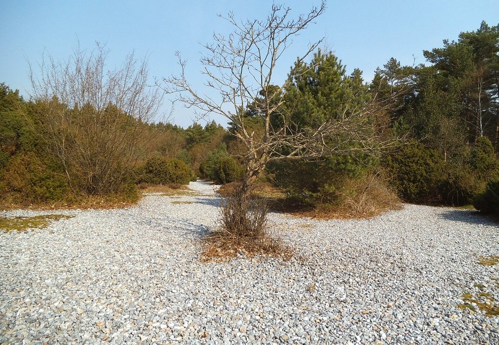 Flint fields in Prora, © Tourismuszentrale Rügen