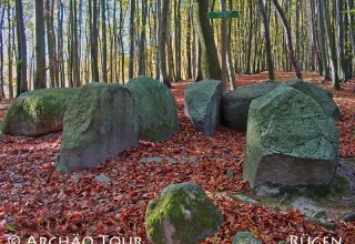 hidden in the beech woods of the Stubnitz lies the megalithic tomb "Pfennigkasten"., © Archäo Tour Rügen