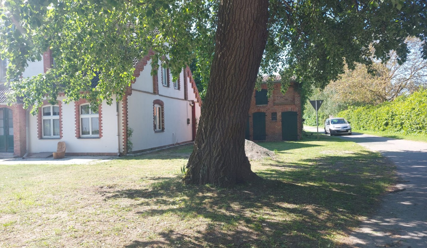 Exterior view of vacation home Sommer Linden, © Sommer Linden