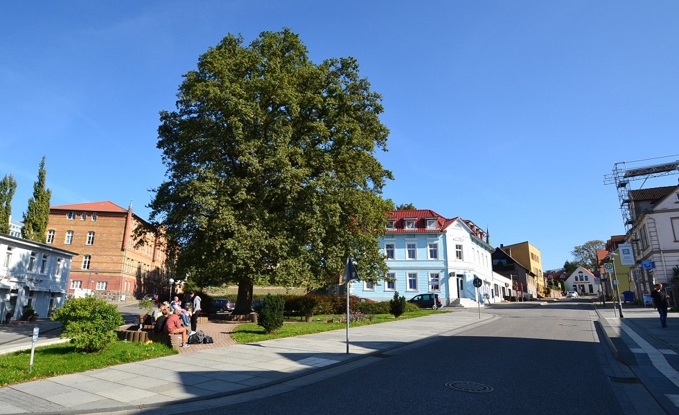 Bismarck oak in Bergen, © Tourismuszentrale Rügen