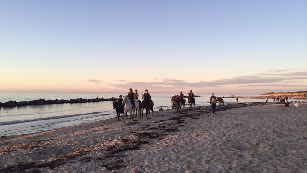 Riding with "Farmer Hartmann" to the Baltic Sea from October to April, © Bauer Hartmann/ Frauke Beier