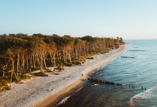 The Baltic Sea spa Graal-Müritz is beautifully nestled between extensive sandy beaches, miles of coastal forests and the Rostock Heath., © TMV/Friedrich