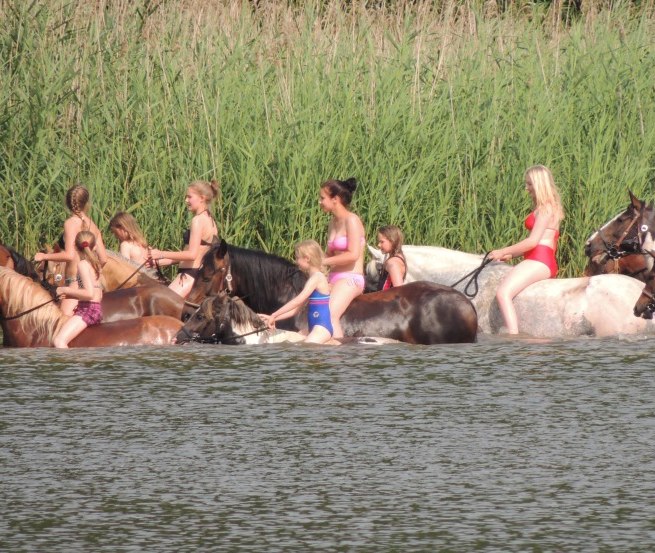 Riding horses into the water in the Goldberg-Mildenitz region, © Tourismusverein Waelder, Seen und Mehr e.V.