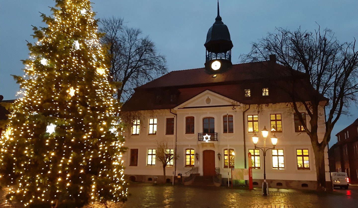 town-hall-square-ng-with-christmas-tree