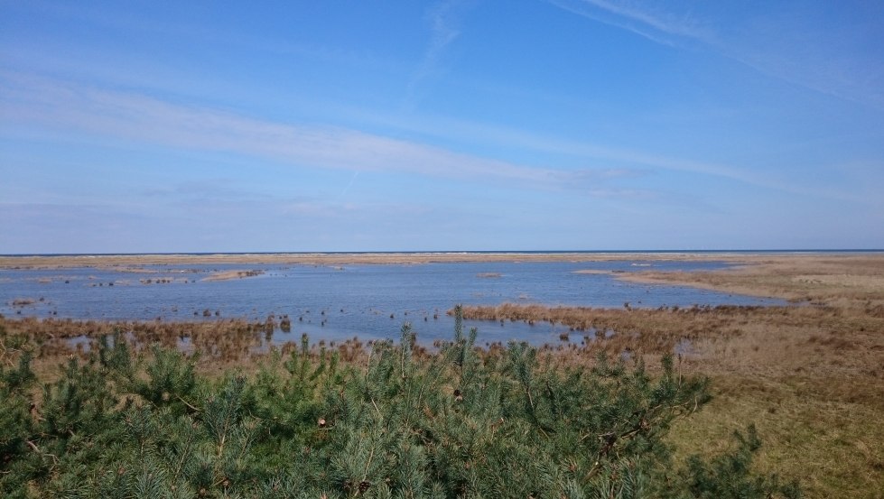 View from the viewing platform at Fukarek Lake, © UB