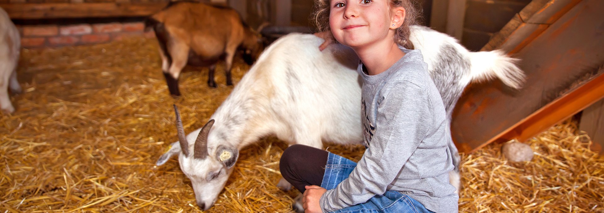 Children's farm, © Karls Erlebnis-Dorf