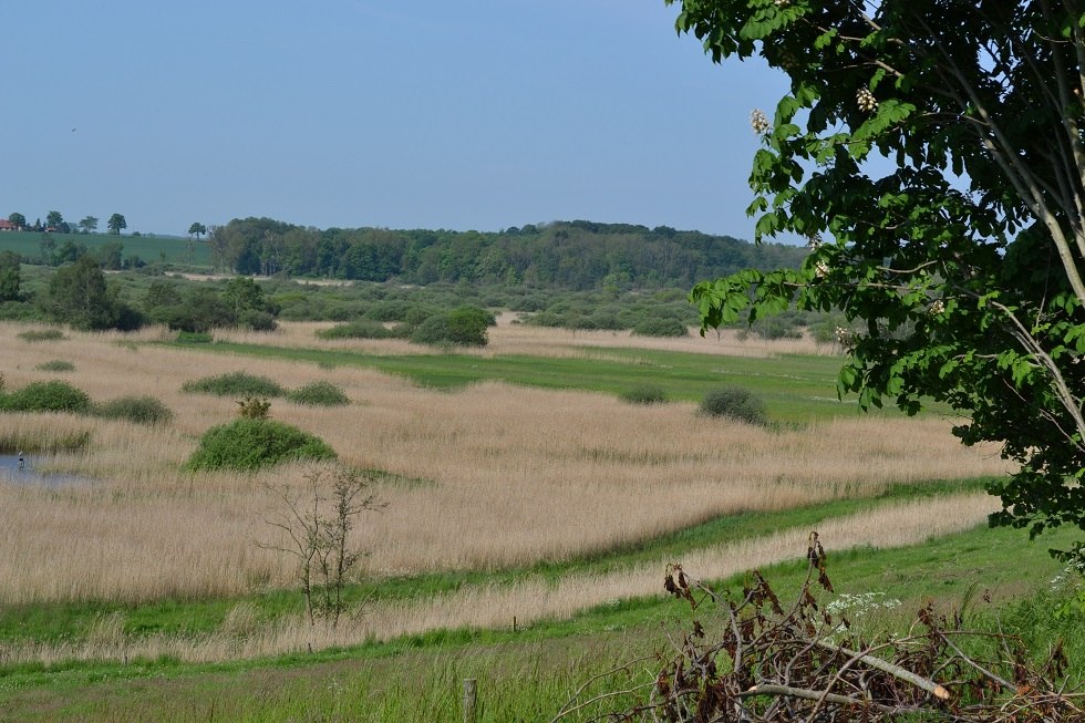 View into the Recknitz valley, © Lutz Werner