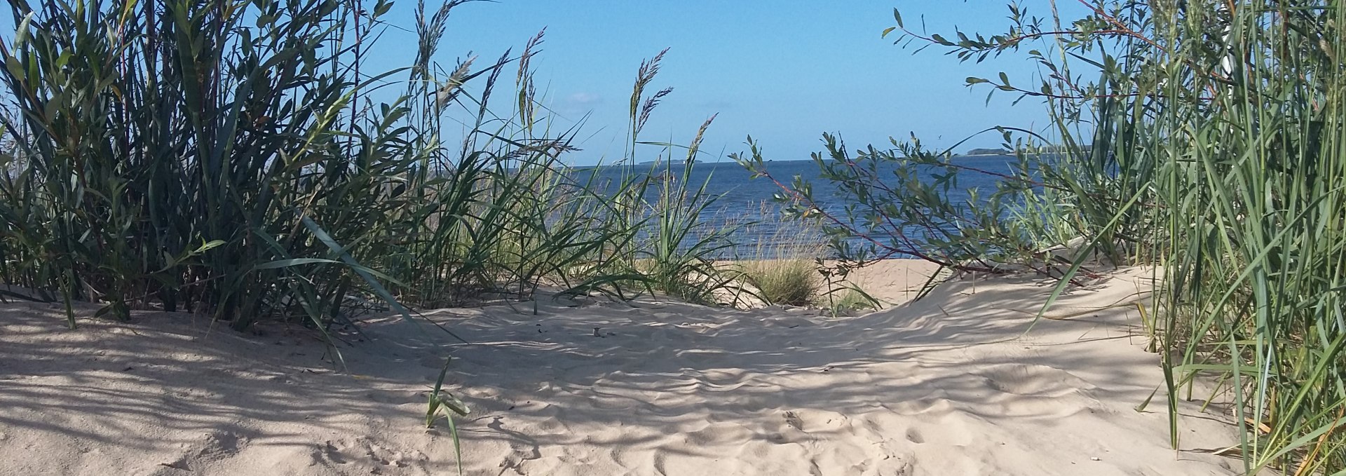 Beach in Freest, © Michael Heck