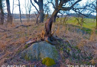 the megalithic tomb in the middle of a hill covered with trees, © Archäo Tour Rügen