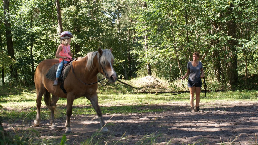 Lunge lesson for children, © Hof Jaddatz