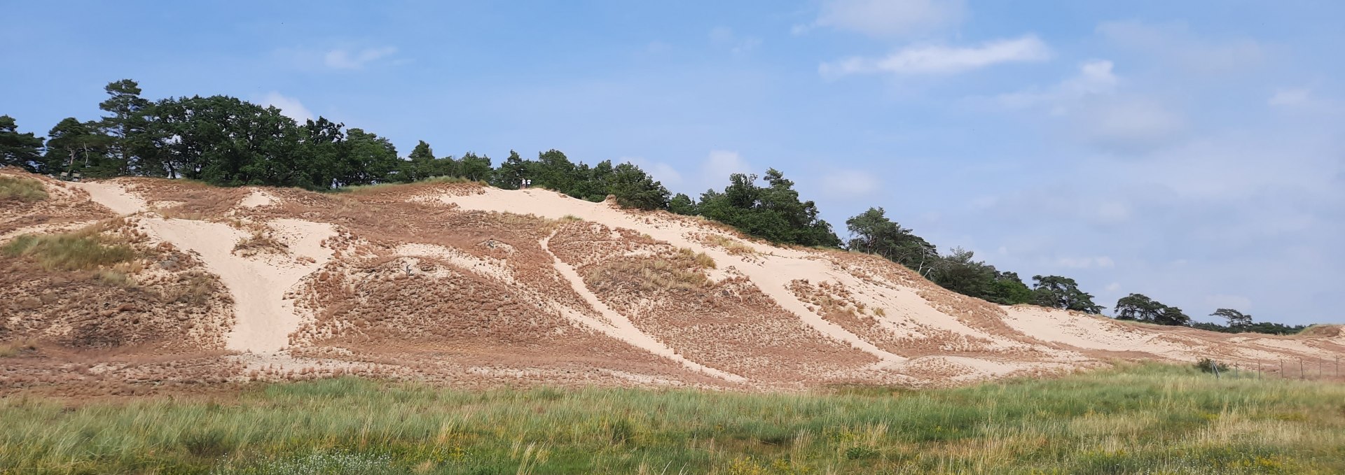 Inland dune Klein Schmölen, © M. Lenthe