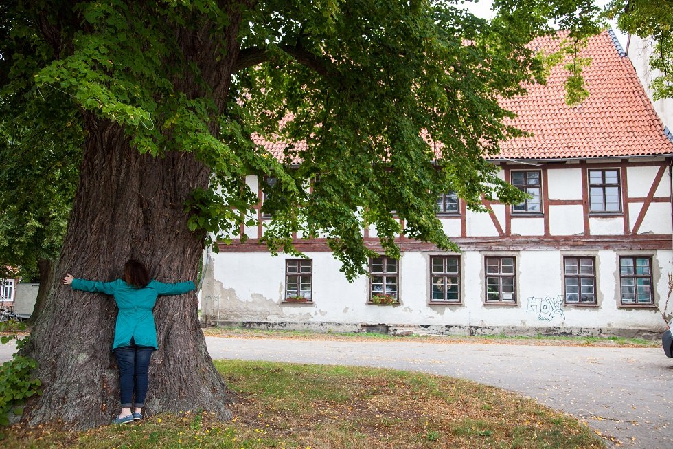 Monastery building with lime tree, © Frank Burger