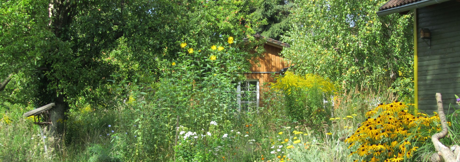 Terrace from willow house - grown in "wild" nature, © Ewald Krombholz