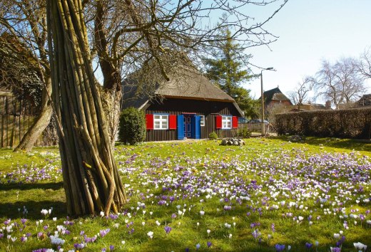 View of a house with thatched roof in the resort Born a. Darß., © TMV/Grundner