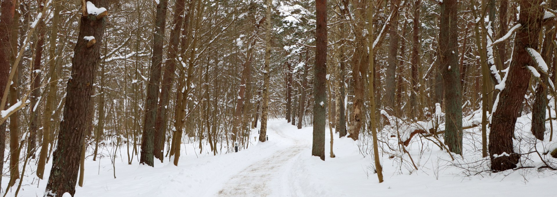 Winter-Hiddenssee-007, © Weiße Flotte GmbH