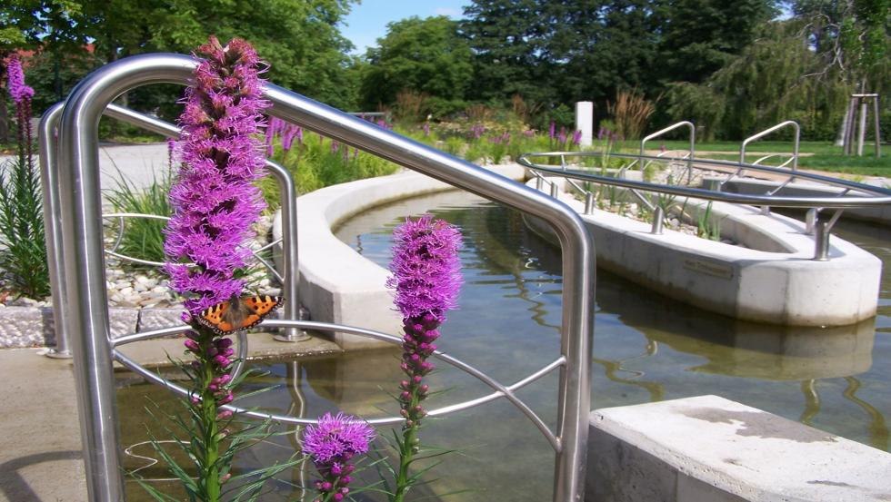 Kneipp facility in the spa park in Feldberg, © Kurverwaltung Feldberger Seenlandschaft