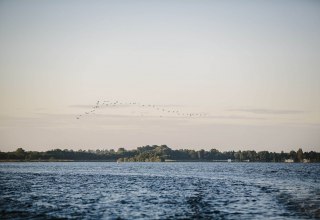 Experience nature at the Schaalsee, © TMV/Roth