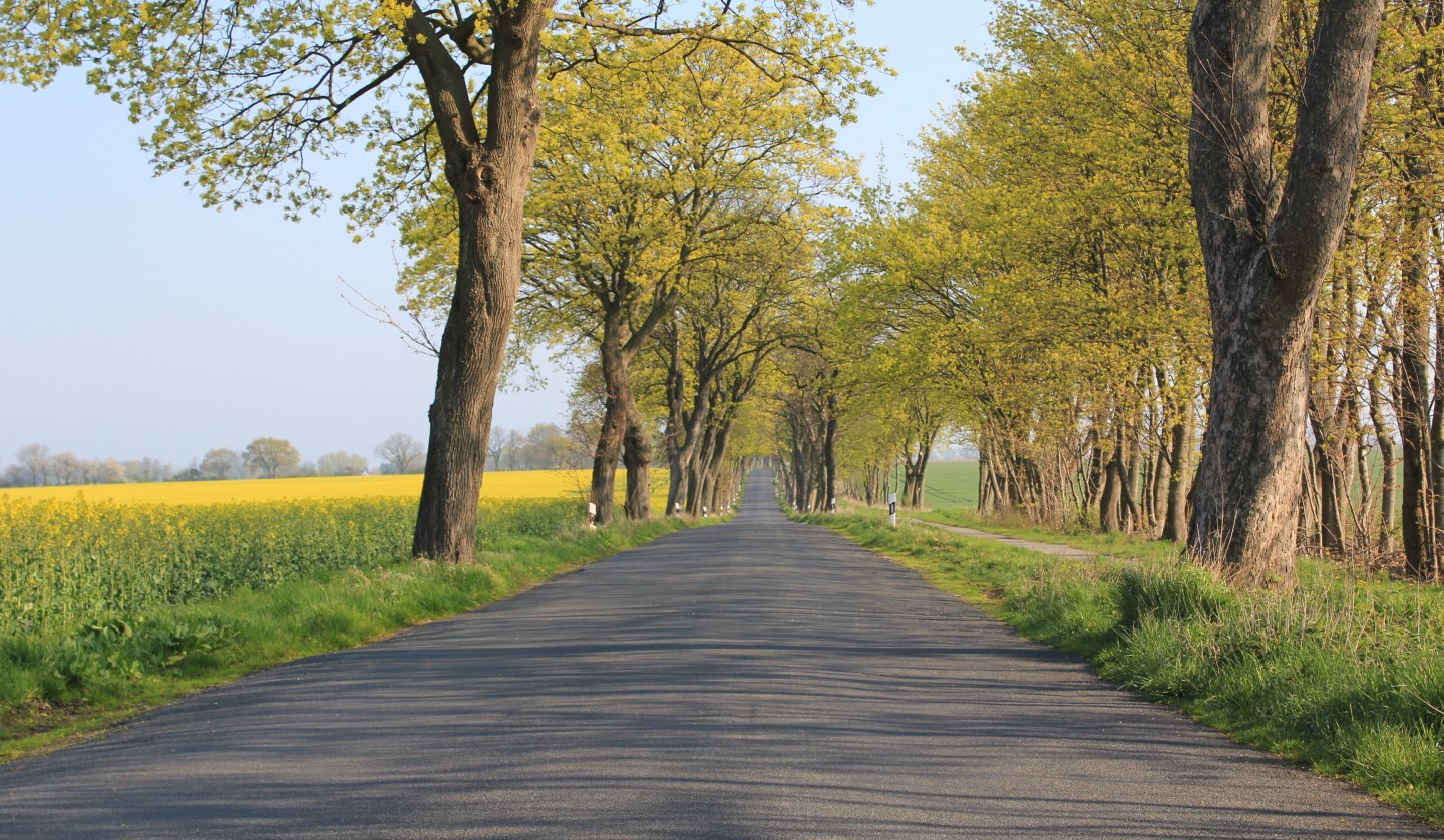 On the road in Vorpommern, © Tourismusverband Vorpommern e.V.