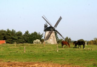 Mill in Benz, © Sabrina Wittkopf-Schade