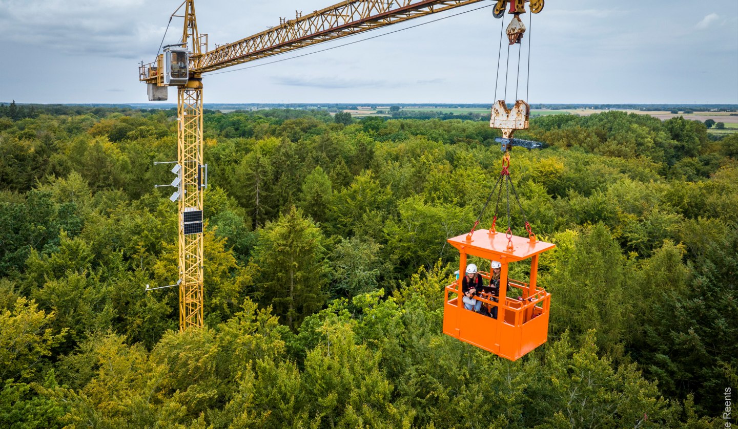 Investigation of the forest by the FeMoPhys project in the Demmin area, © Foto: Silke Reents