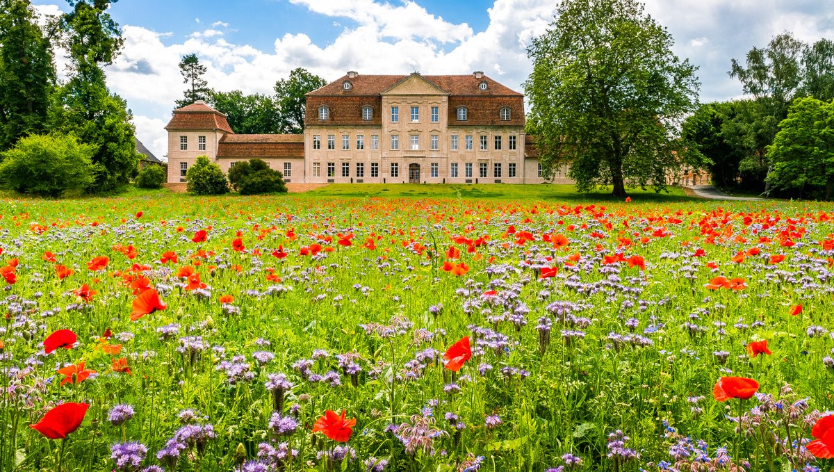 Kummerow Castle - the north facade, © Alexander Rudolph