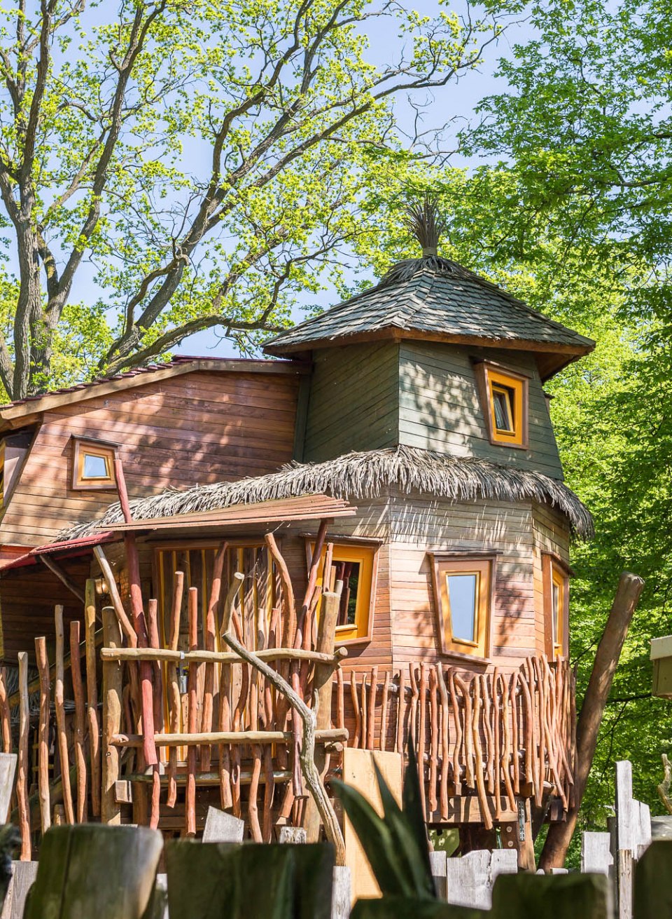 Tree house zoo Schwerin, © Zoo Schwerin