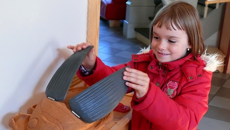 Touching, hearing and seeing, you can learn amazing things about ospreys, pikes and yellow fire beetles at the National Park Information Boek, © Nationalparkamt Müritz