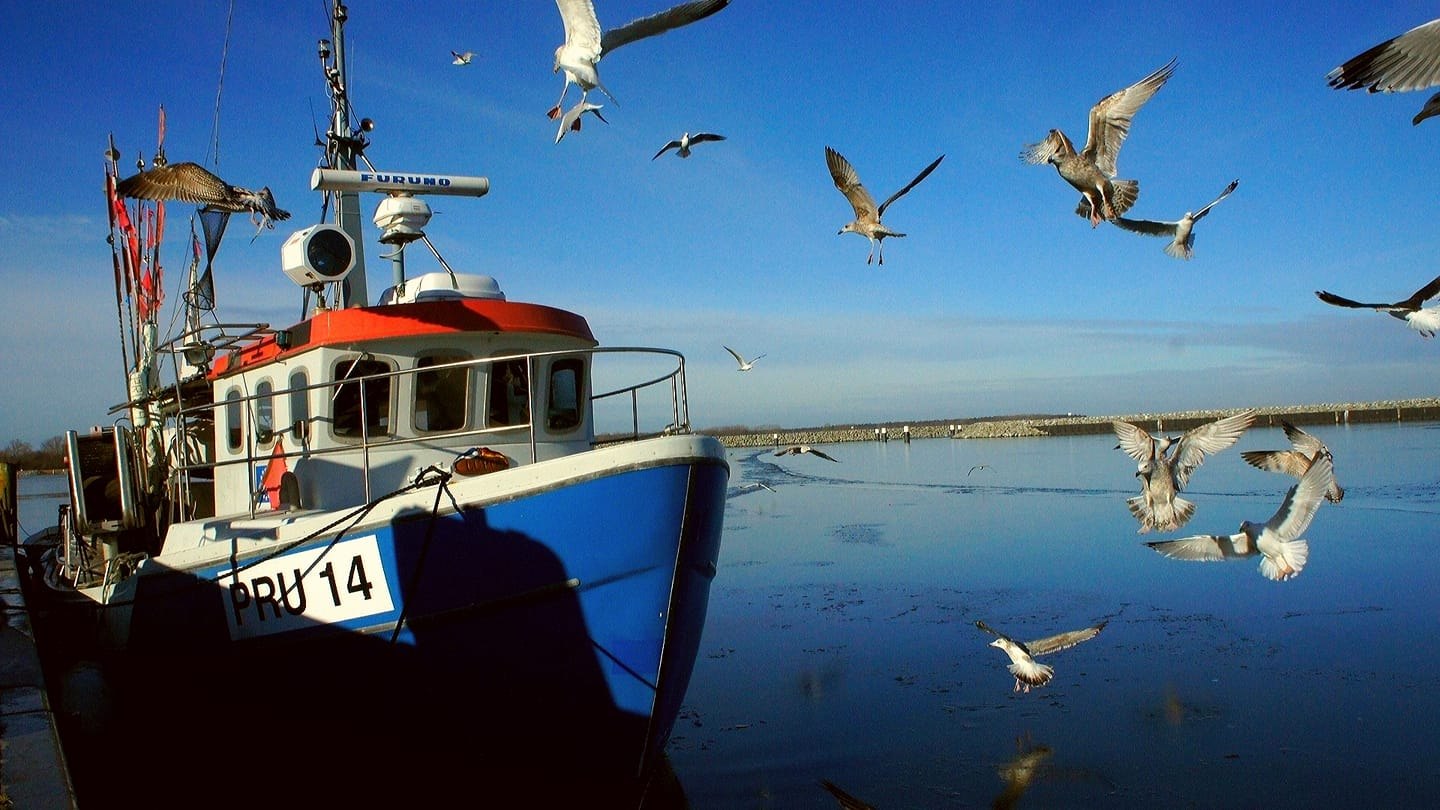 Dei Lütt Fischhall_photo of the fishing boat, © Grählert