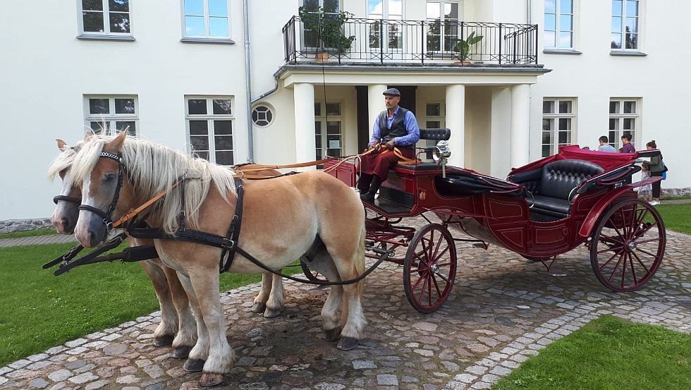 Whether it's a children's birthday party, a company outing, a group trip, a bachelor party - the Mecklenbuger Kutsch- und Kremserfahrten will drive you!, © Mecklenburger Kutsch- und Kremserfahrten/ Axel Peters