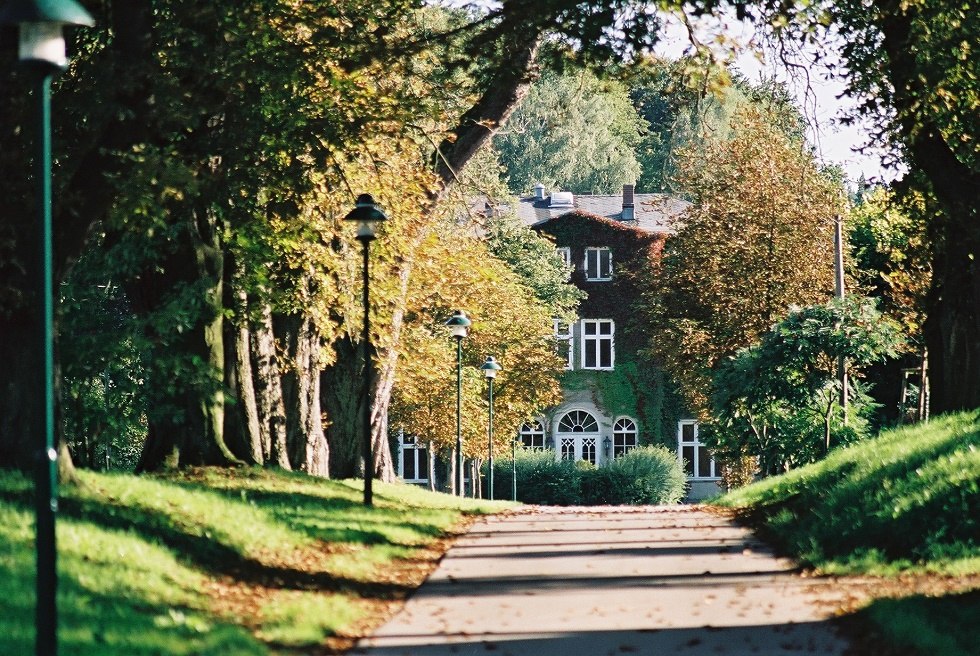 View through the avenue to the manor house Wesselstorf, © Andreas Knoll