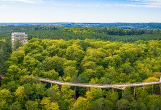 The treetop trail consists of a wooden walkway that winds through the treetops and a 33-meter-high observation tower., © Erlebnis Akademie AG/Baumwipfelpfad Usedom