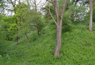 The rampart of the Slavic castle is still clearly visible., © Lutz Werner