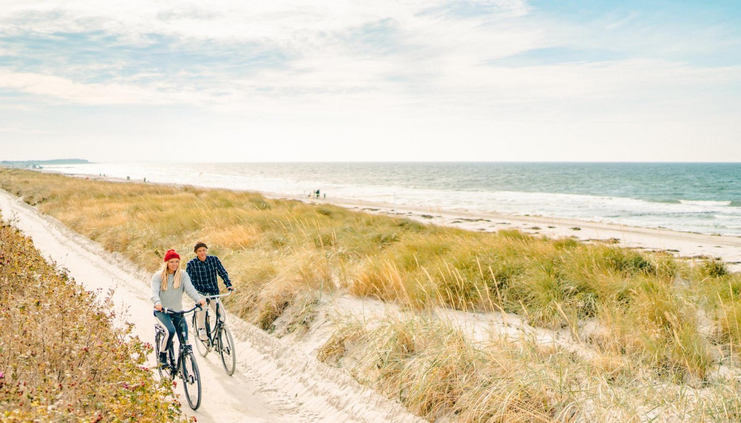 A leisurely cycle tour along the picturesque dunes on the island of Hiddensee, with a view of the Baltic Sea in the background.