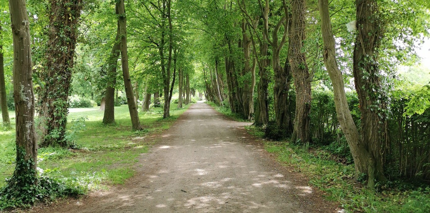 Avenue in the Teschow estate park, © E-Bike MV