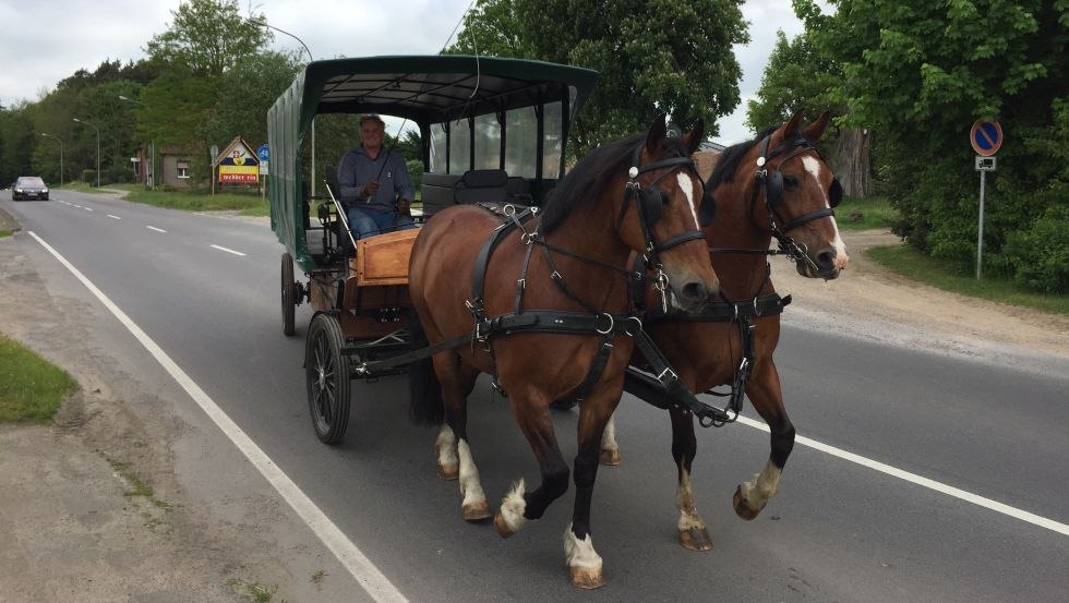 Take a carriage ride with Ferienhof Mirow for up to 25 people, © Ferienhof Mirow/Mewes