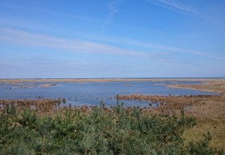 View from the viewing platform at Fukarek Lake, © UB