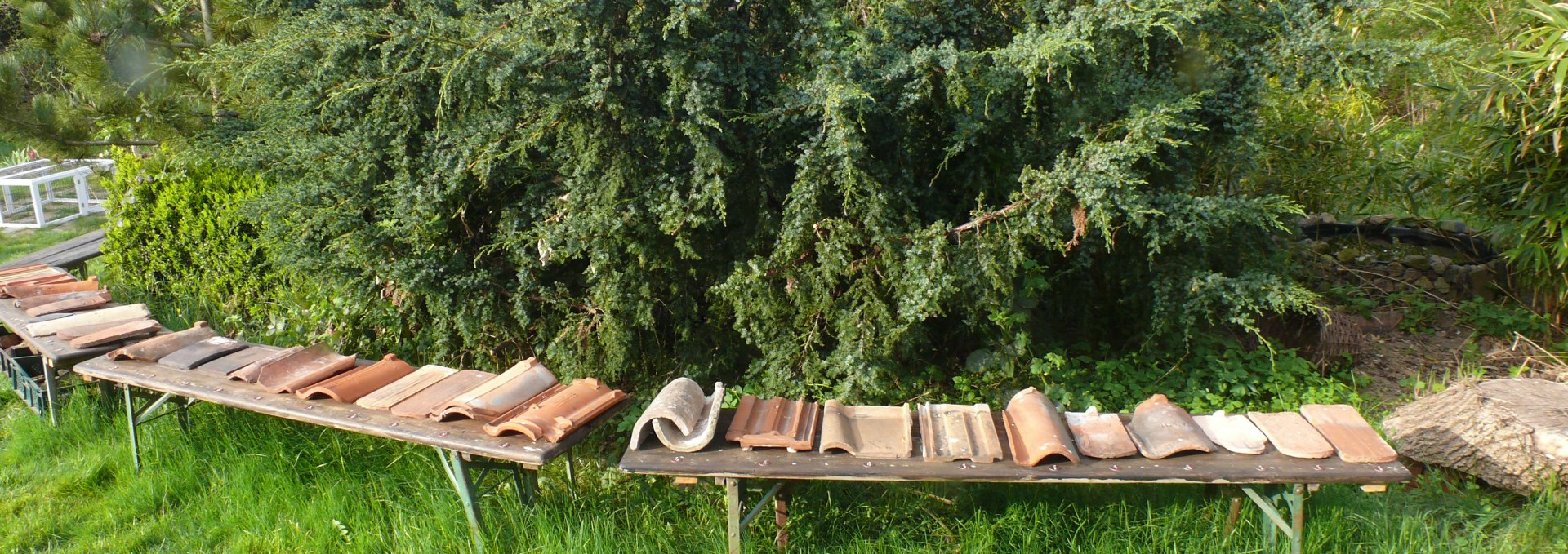 Roof tiles of historic buildings, © Haustierpark Rambow / Peter Ramsch